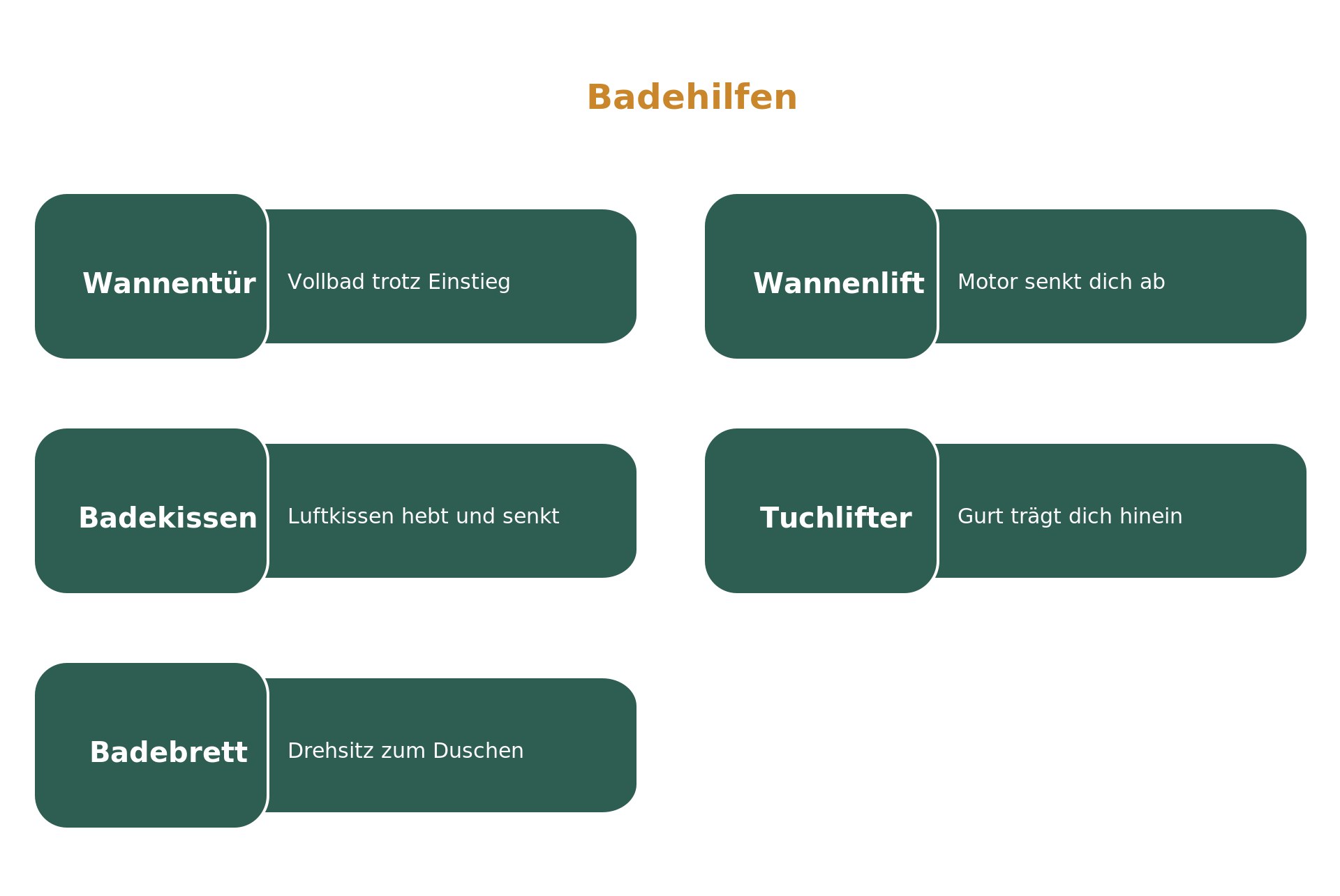 Infografik: Einstiegshilfen für die Badewanne – Wannentür, Wannenlift, Badekissen, Tuchlifter und Badebrett