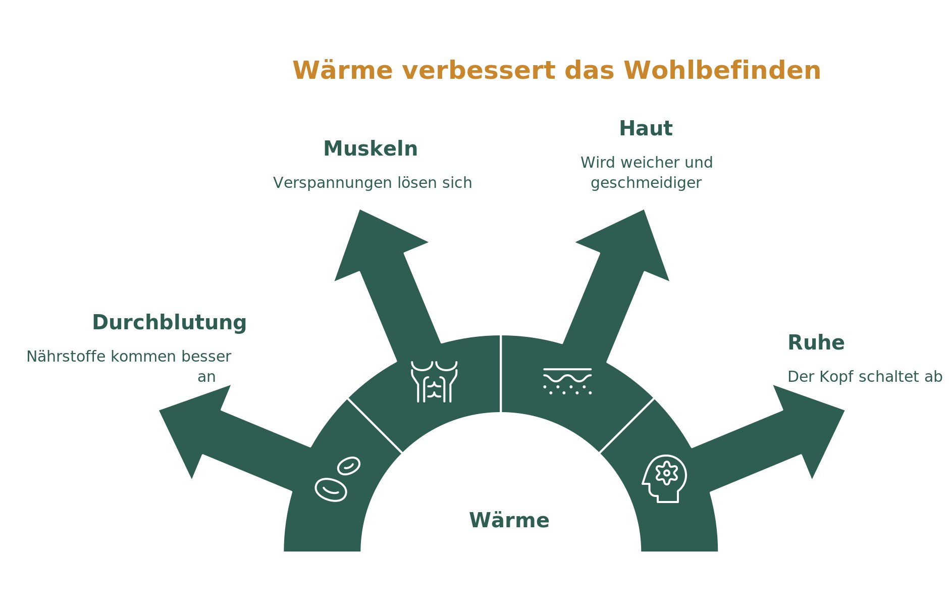 Infografik: Wie Wärme in der Badewanne auf Durchblutung, Muskeln, Haut und Kopf wirkt