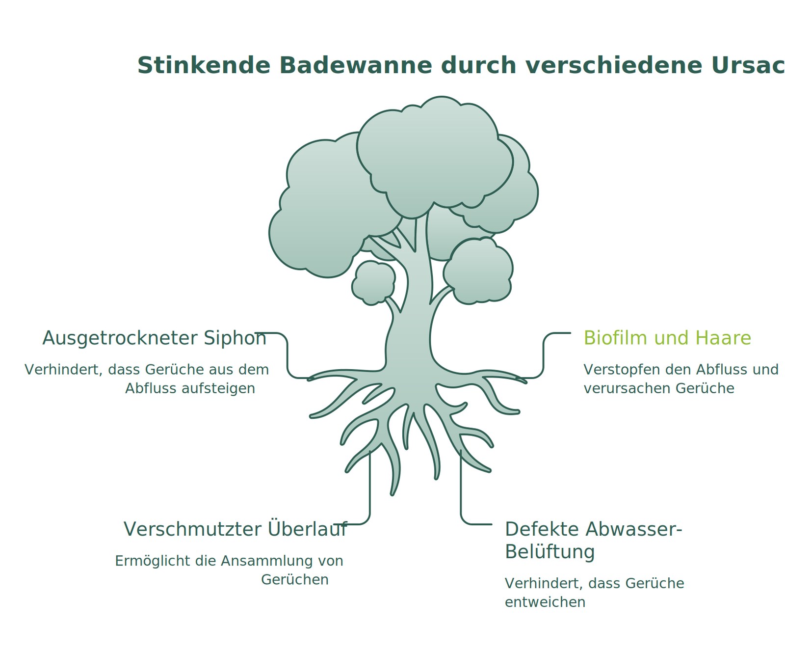Infografik: Badewanne stinkt – vier Ursachen und Lösungen für den Badewannenabfluss