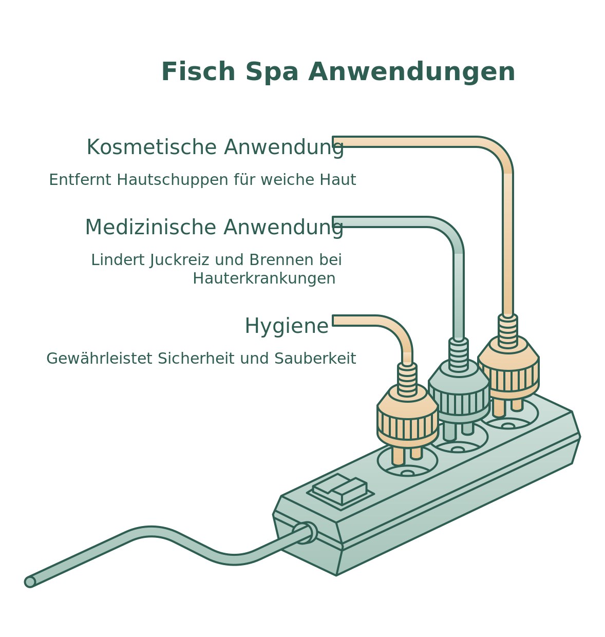 Infografik: kosmetische und medizinische Anwendung im Fisch Spa sowie Hygienevorgaben
