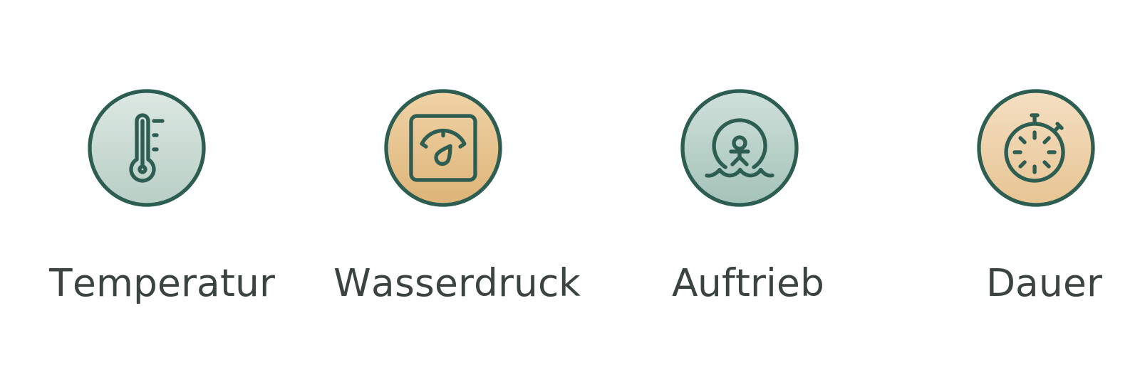 Infografik: Die vier Wirkprinzipien der Hydrotherapie – Temperatur, Wasserdruck, Auftrieb und Dauer