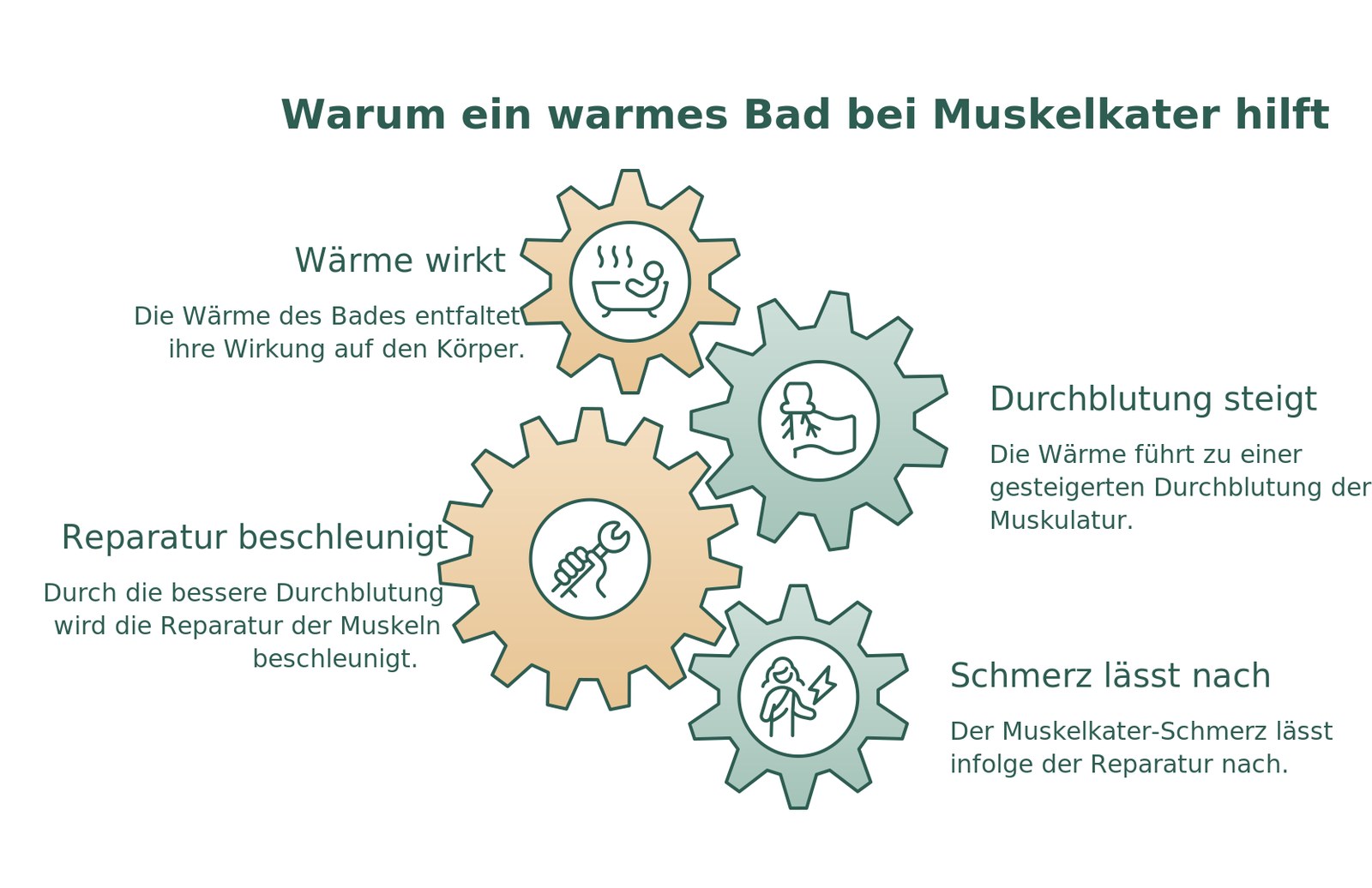 Infografik: Wie ein warmes Bad bei Muskelkater wirkt