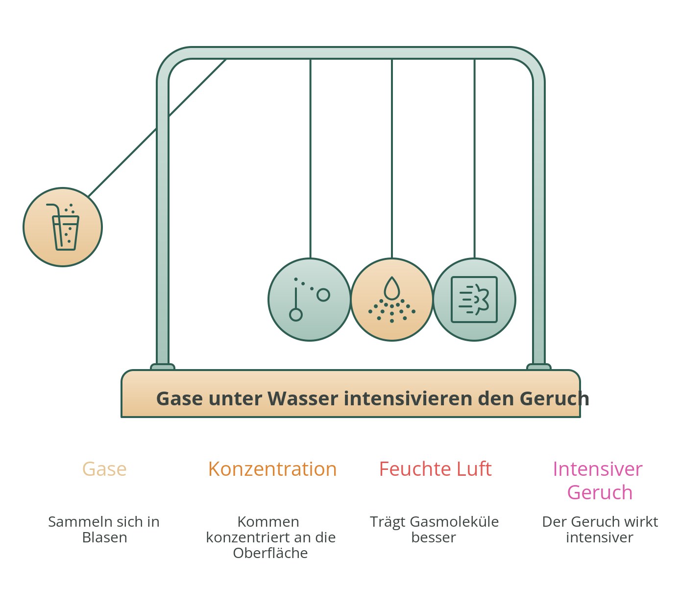 Infografik: Warum Pupse unter Wasser intensiver riechen