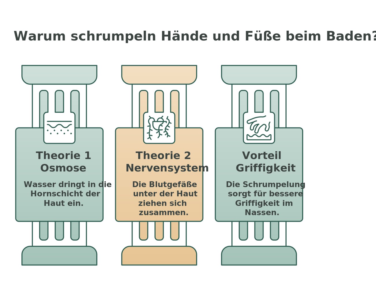 Infografik: Warum schrumpeln Hände und Füße beim Baden – Osmose, Nervensystem, Griffigkeit