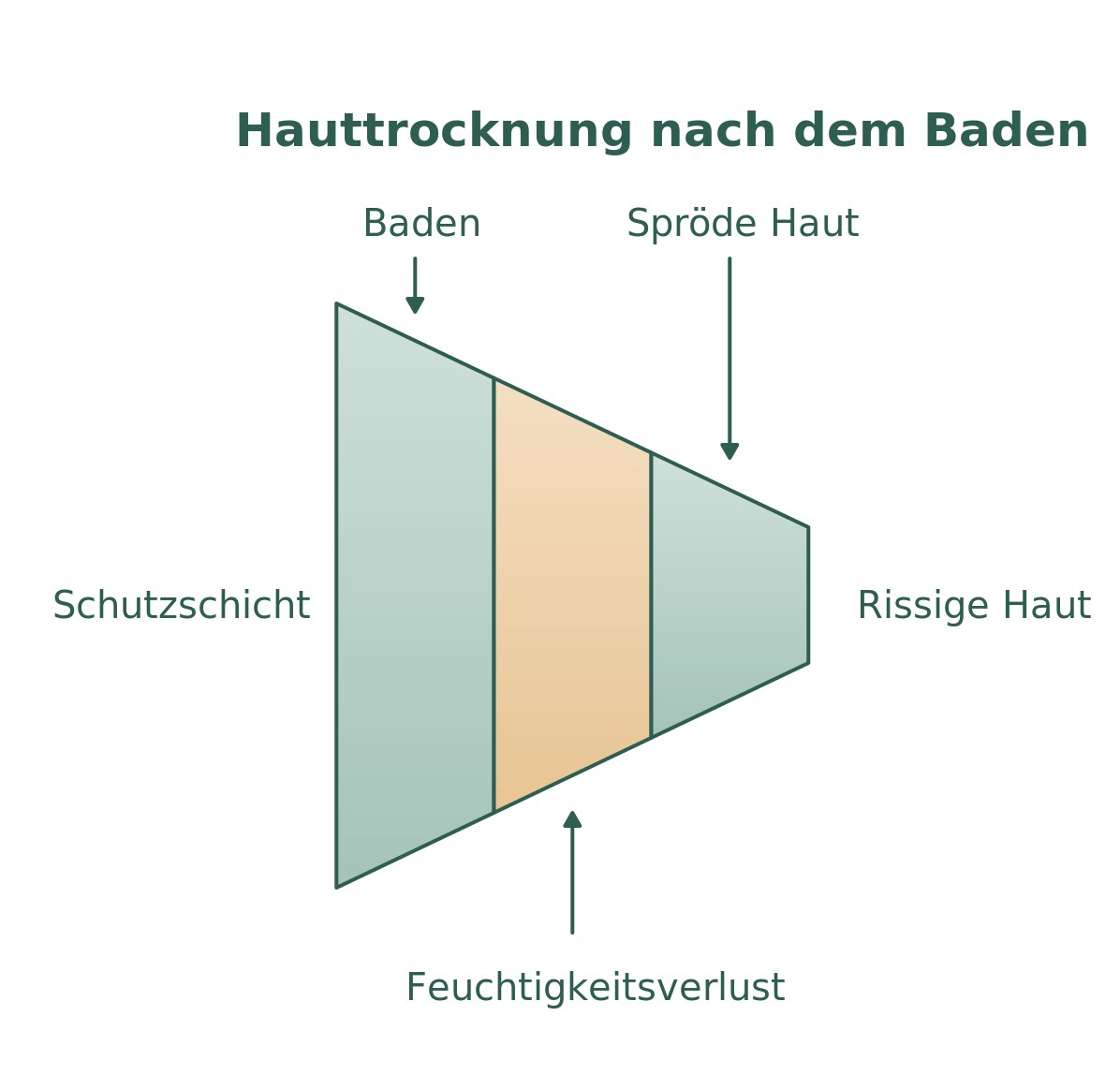 Infografik: wie trockene Haut nach dem Baden entsteht